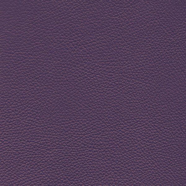 blackberry