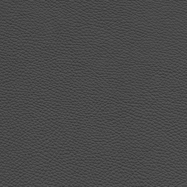 ivory black