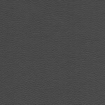 ivory black
