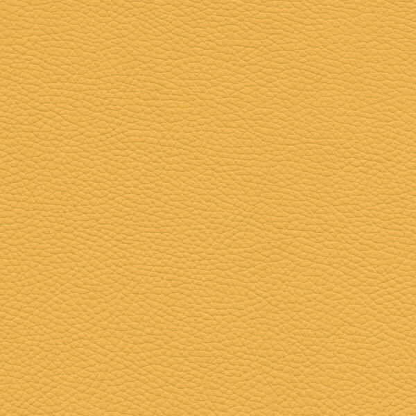 maize yellow