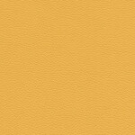 maize yellow