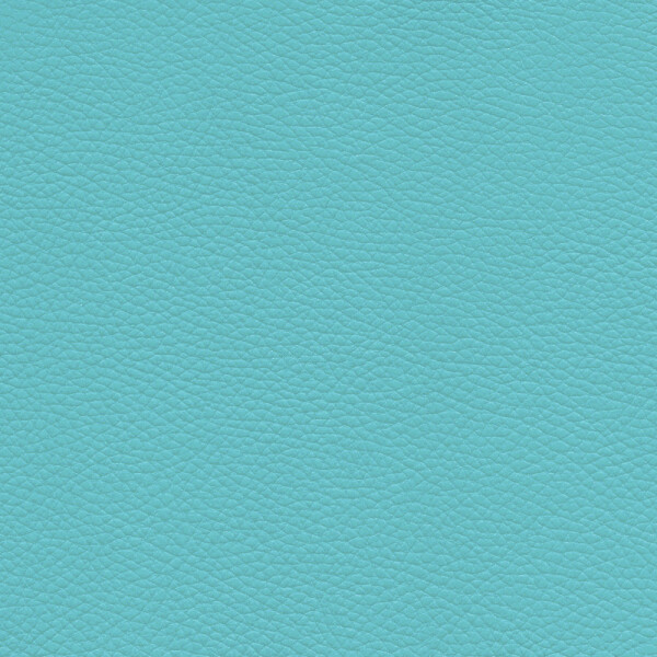 light turquoise
