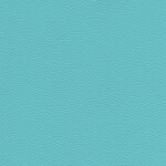 light turquoise