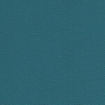 dark turquoise