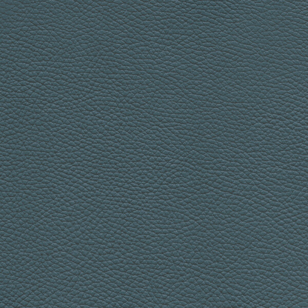 admiral blue