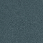 admiral blue