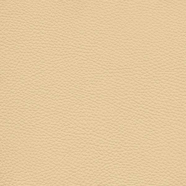 beige yellow