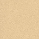 beige yellow