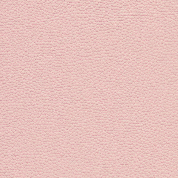 light rose