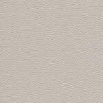 mouse gray