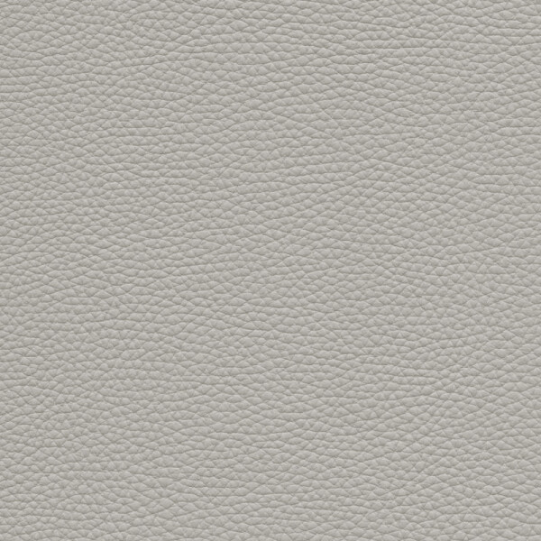 elephant gray