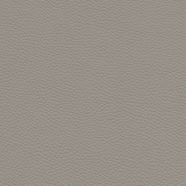 basalt gray