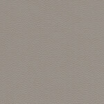 basalt gray