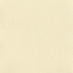 white beige