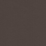 brown black