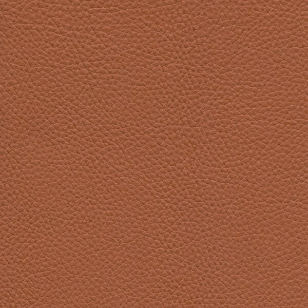 brown umber