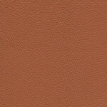 brown umber