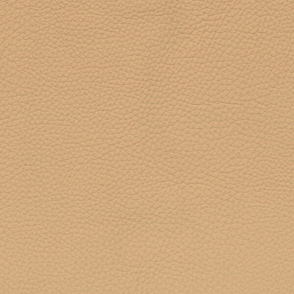 beige V2