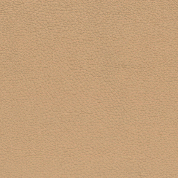 beige V3