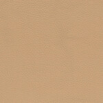 beige V3