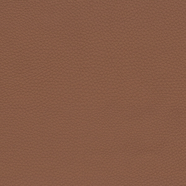 cognac V2