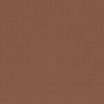 cognac V2