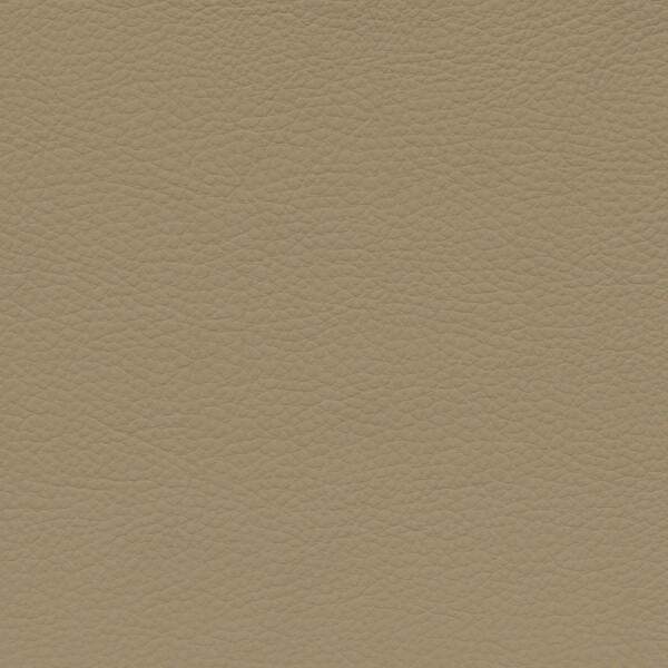 savannabeige V2