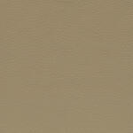 savannabeige V2