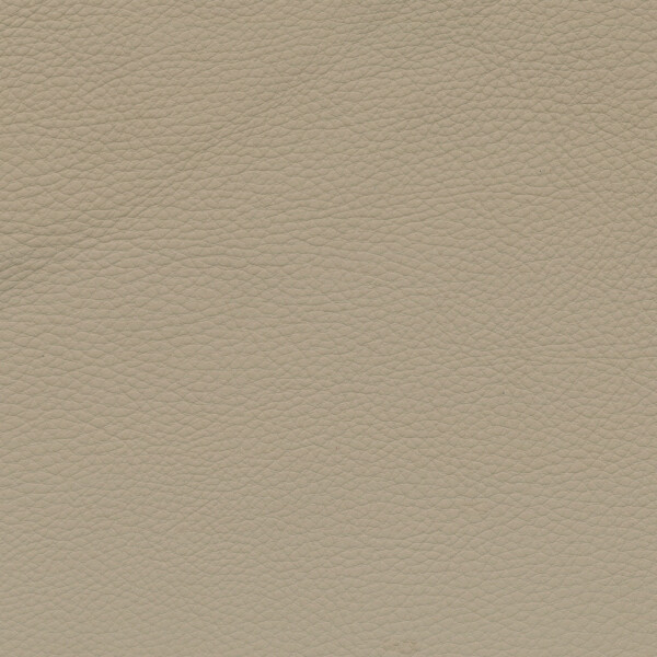 creambeige V2