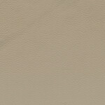 creambeige V2