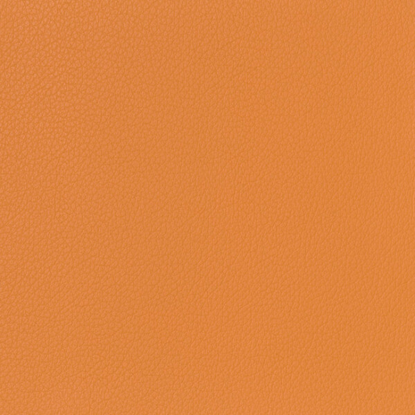 mango orange
