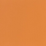 mango orange