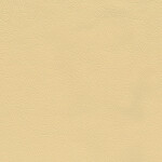 hellbeige