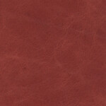 karmin rot