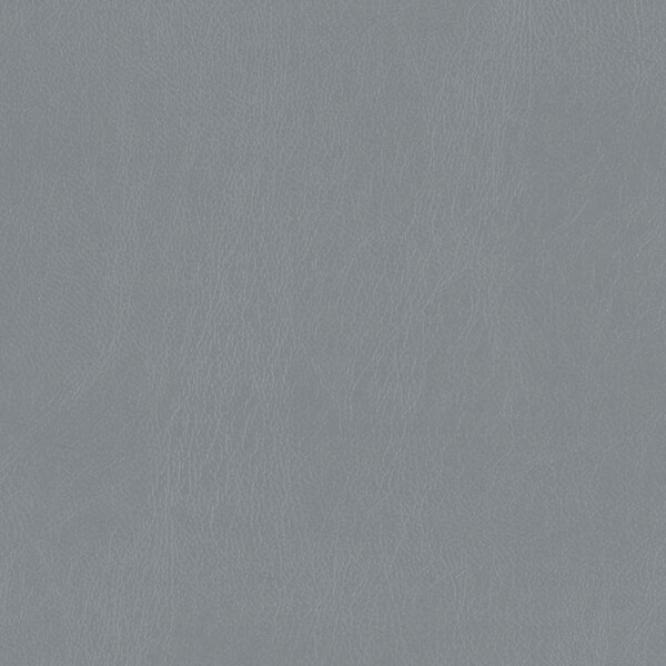 iron gray