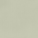 gray beige