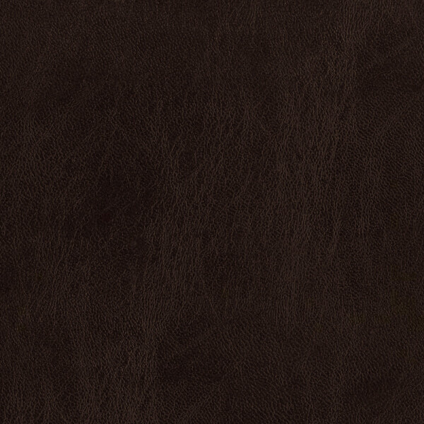 cedar