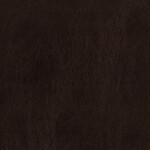 cedar