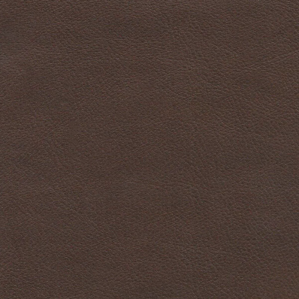 kastanie