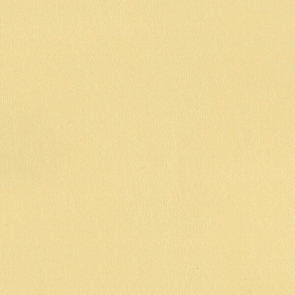 dark ivory