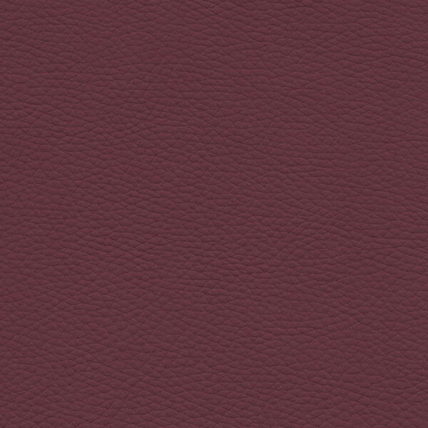 bordeauxviolett