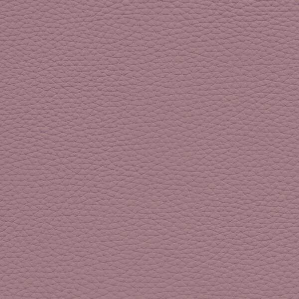 pastellviolett
