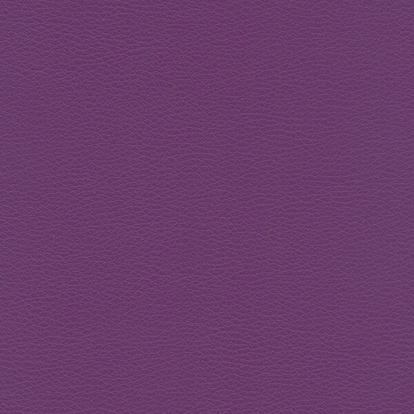 claret violett