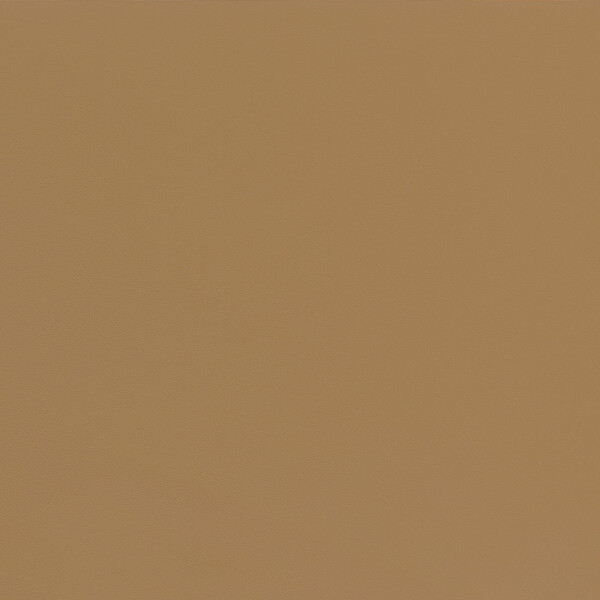 savannabeige V2