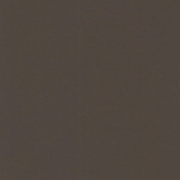 sattelbraun | saddle brown