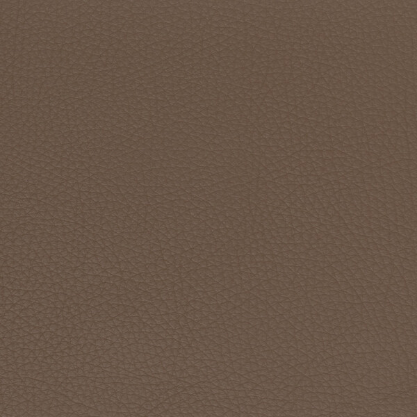 savanna | landscape