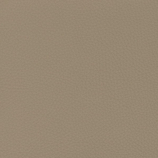 kaschmir | buckskin