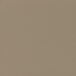 kaschmir | buckskin