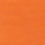 mandarine