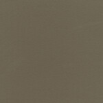 umber gray